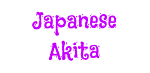 Japanese Akita